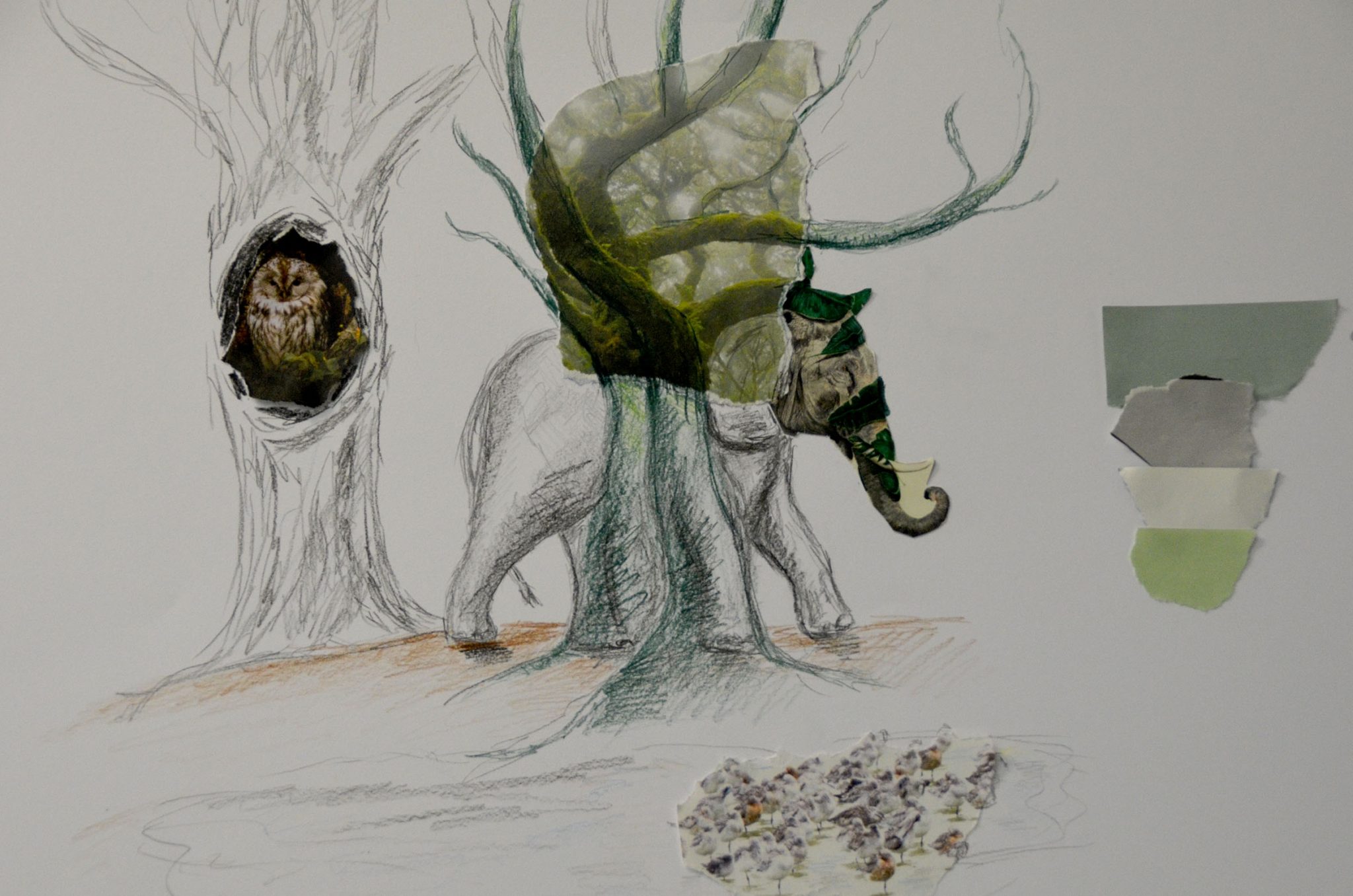 Zeichnung Baum Mit Eule und Elefant