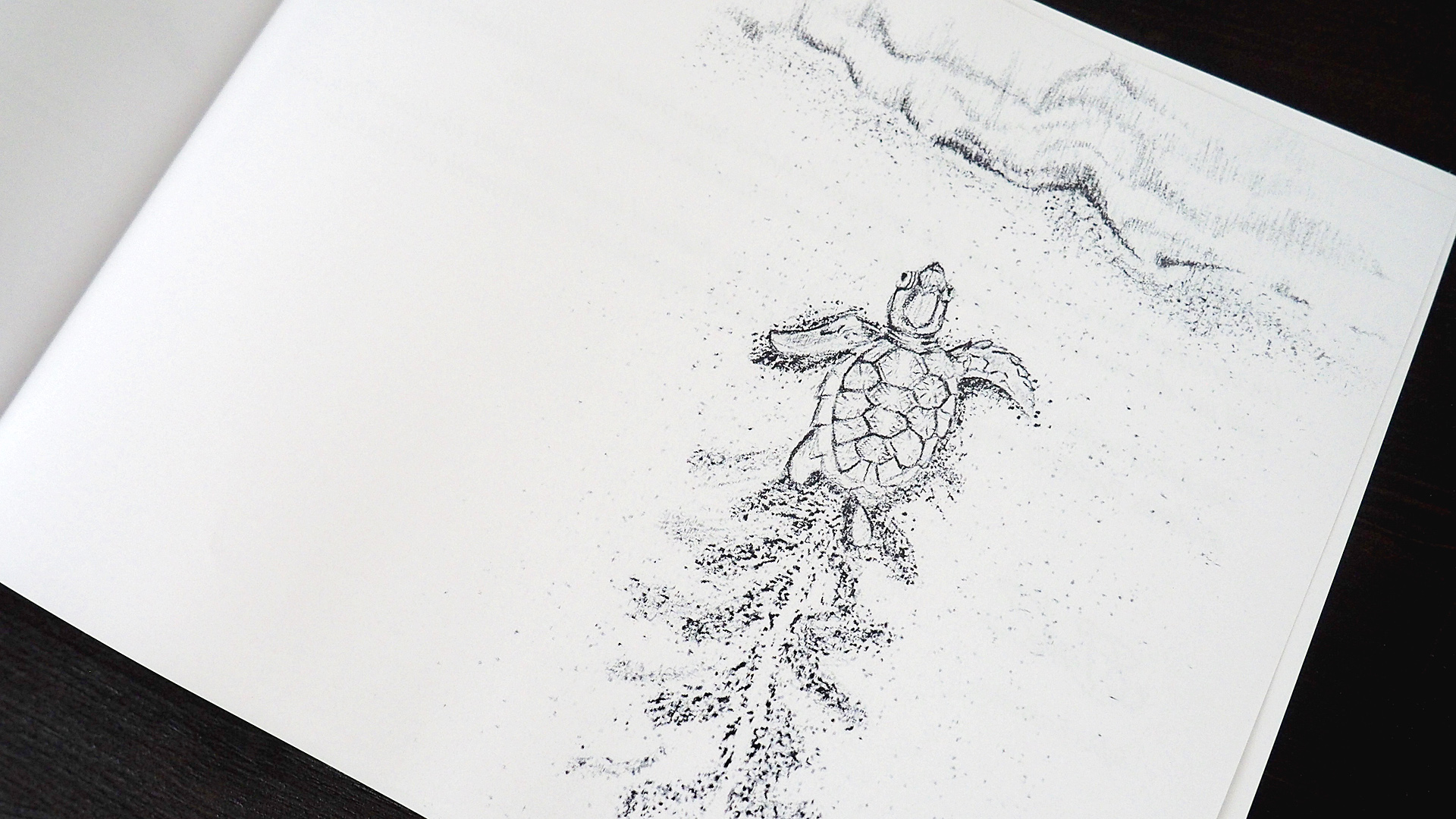 Punktskizze aus Bleistiften, Schildkröte auf dem Weg vom Strand ins Wasser